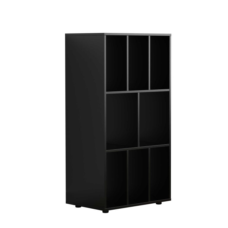 Armoire de rangement pour vinyles LP - armoire à disques - étagère de rangement - étagère à disques