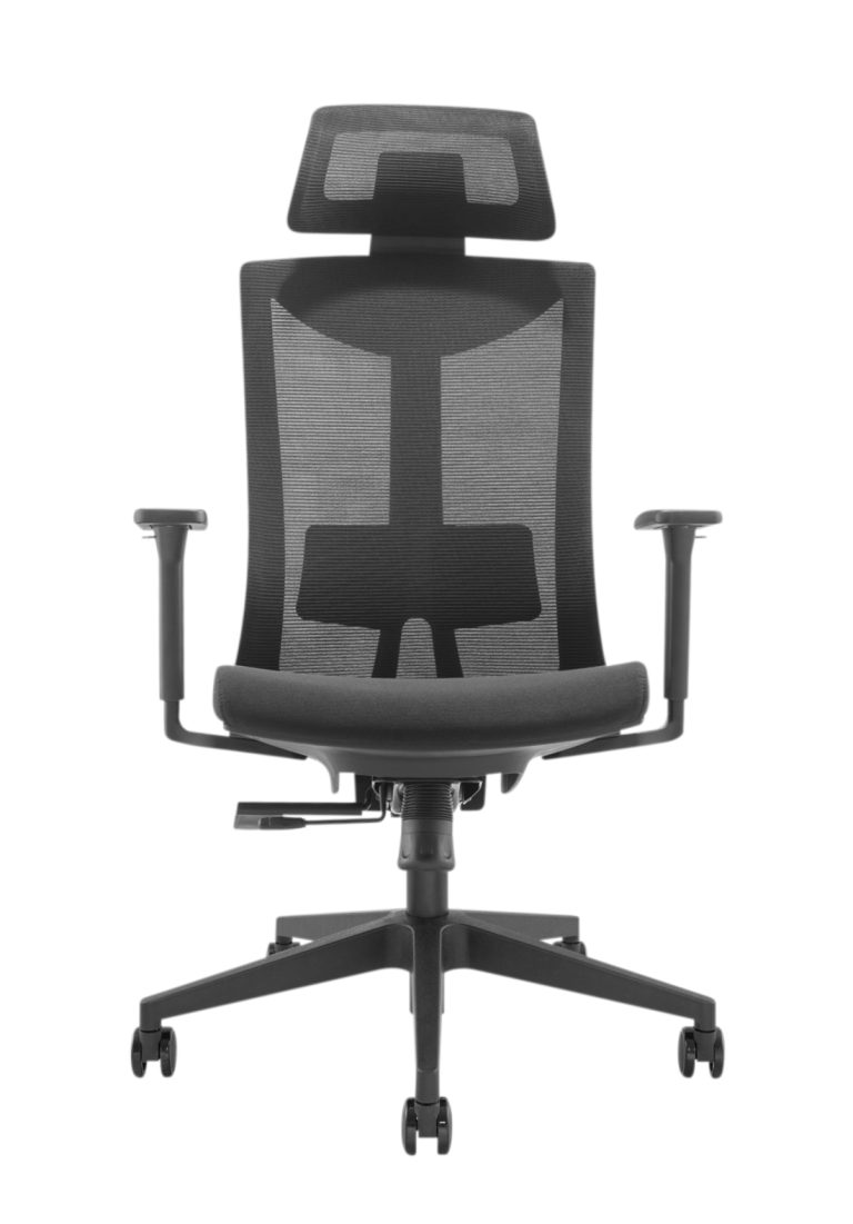 Chaise de bureau deluxe ergonomique - chaise de bureau - entièrement réglable - tissu résille