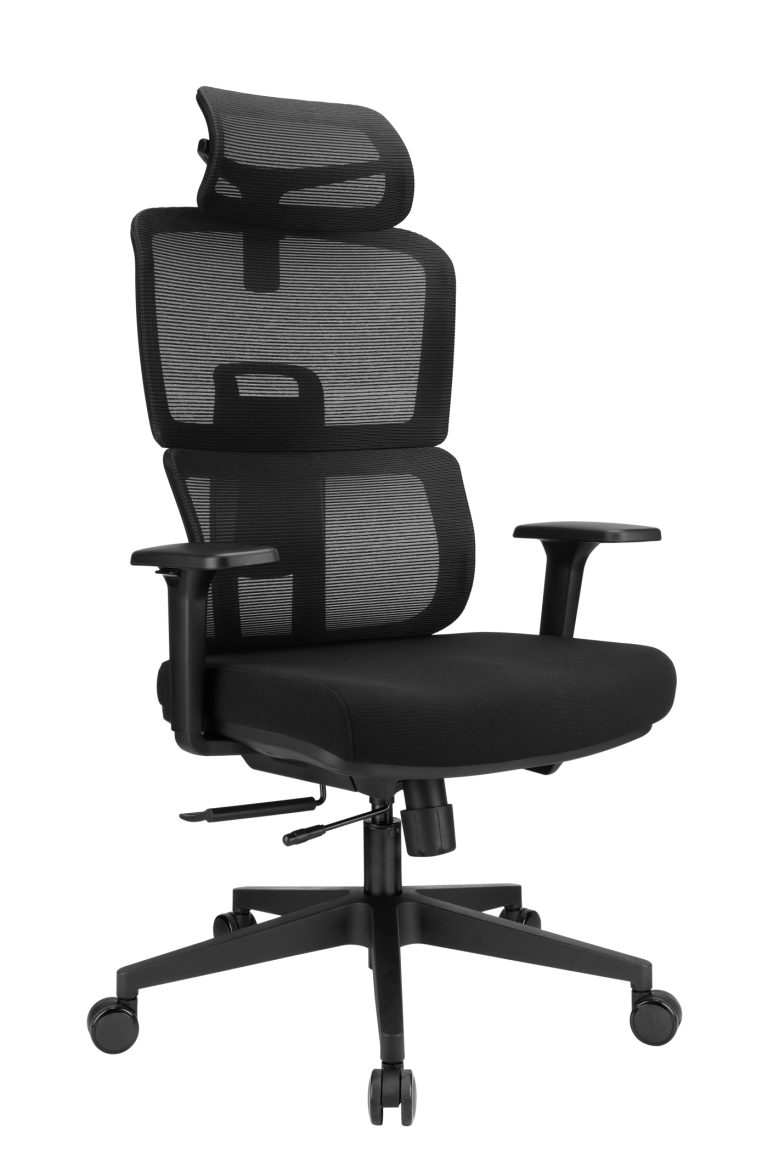 VDD - chaise de bureau ergonomique - basculante - réglable en hauteur