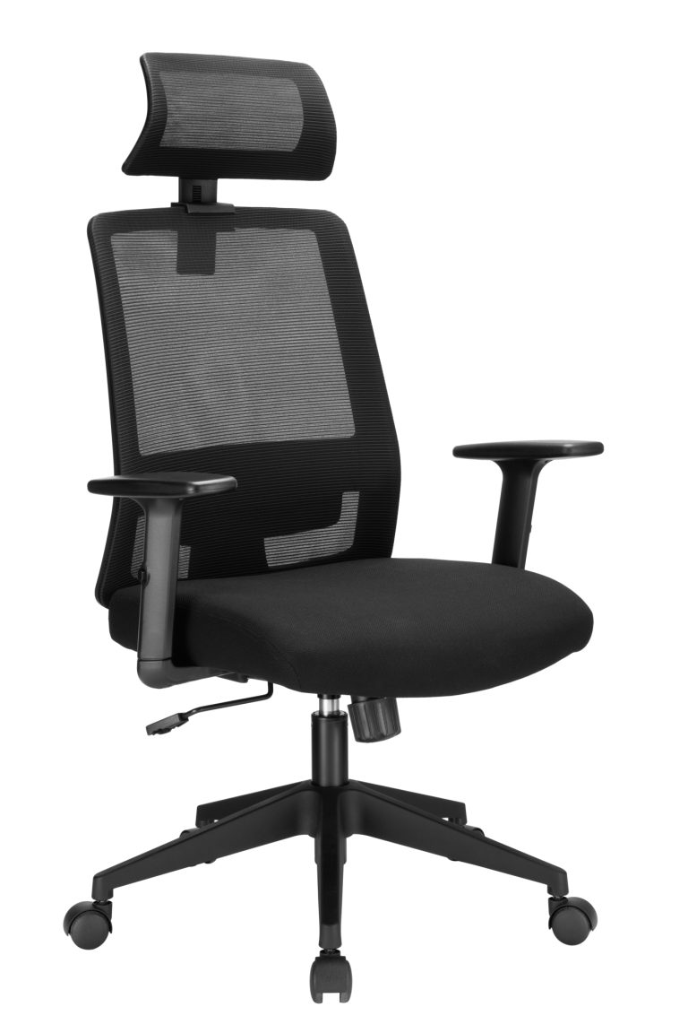 VDD - chaise de bureau - ergonomique - basculante - noire