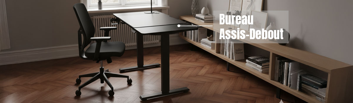 Bureau Assis-Debout