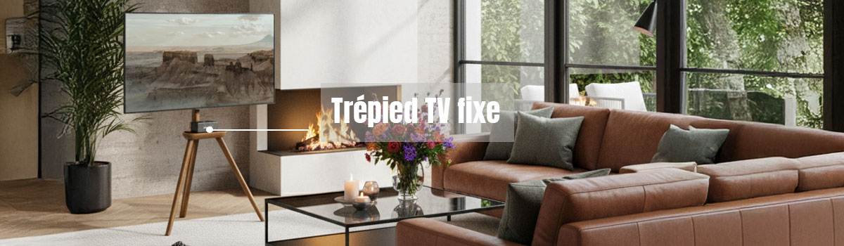 Support TV fixe